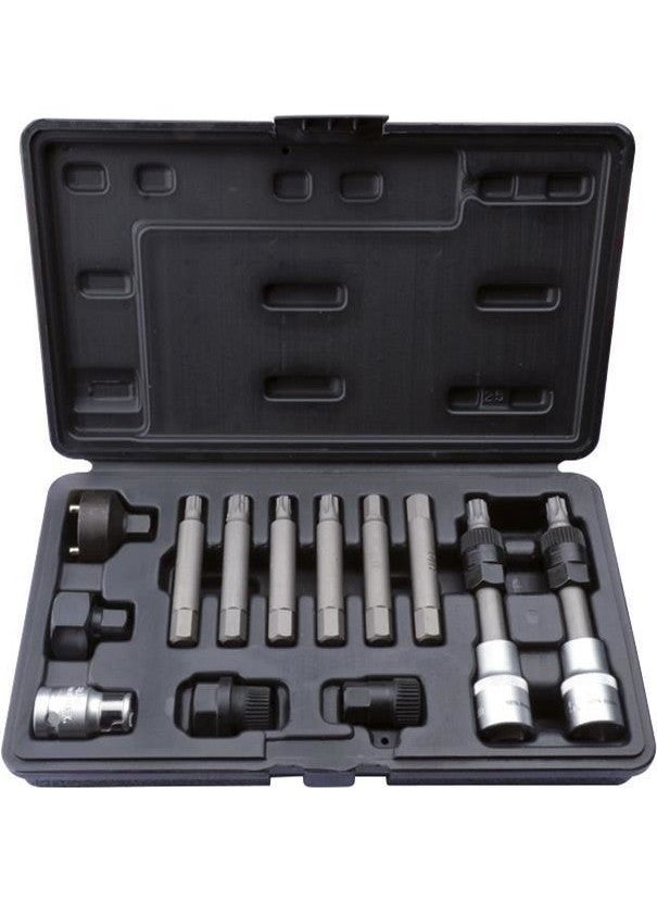 Ceta Form N42-01K13 Alternator Pulley Removal Kit 13 Pieces 