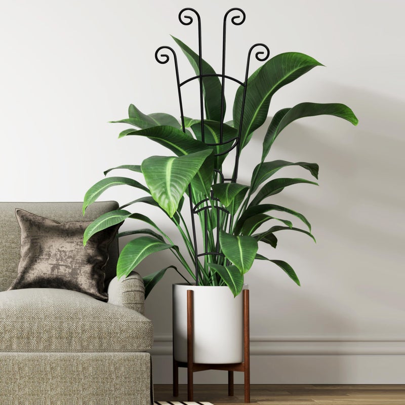 Xeeol 32.6in Plant Trellis for Climbing Plants Indoor Outdoor, Expandable Large Metal Garden Trellis for Potted Plants, Heavy-Duty Tall Pothos Plant Climber Support for Ivy Pothos Hoya Monstera, 2P - Image 4