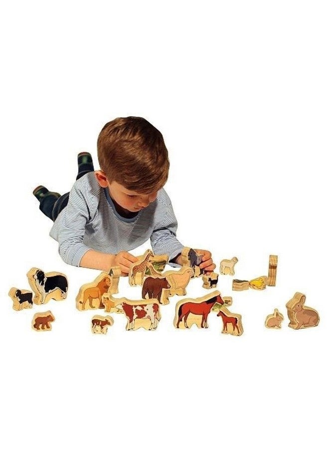THE FRECKLED FROG FF436 Animal Families - Set of 24 - Ages 12m+ - Matching Game with Animal Fathers, Mothers and Babies - Wooden Animal Blocks for Toddlers - Double-Sided - Image 1