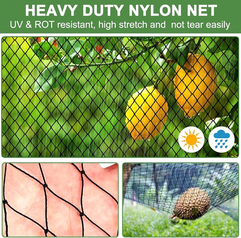 DQS Bird Net - 50' x 50' Garden Netting with 2.4" Square Mesh Protect Fruit Tree, Plant & Vegetables from Poultry, Deer and Pests, Heavy Duty Tree Net for Garden, Farm, Orchard, etc. - Image 2
