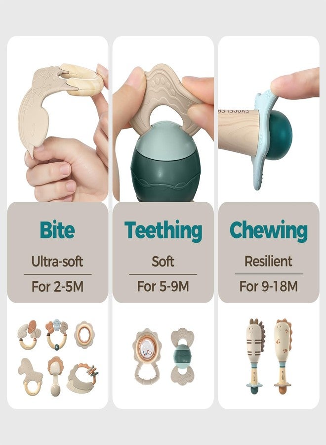 Evoceler Softness Staged Baby Teething Toys with Rattles for 0-6 Months (30° Super Soft, 50° Soft, 70° Regular) -10 Pcs Shaker Toys, Food-Grade Silicone Teethers for Babies 0-18+ Months, BPA Free - Image 5