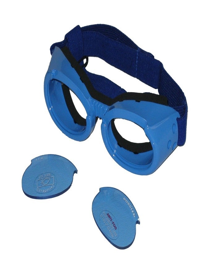 Doggles ILS Large Shiny Blue Frame with Blue Lens Dog Goggles - Image 2