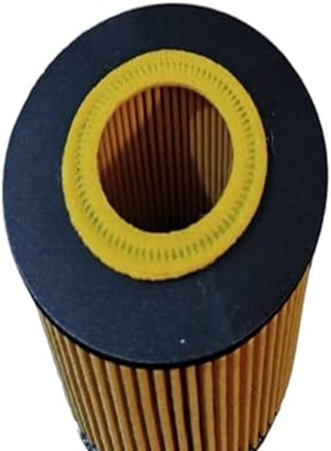 Dolphin Custom Automotive Filler Tipo ElBadryoils-030