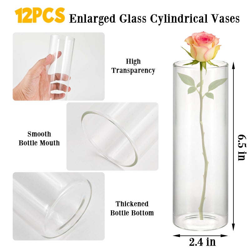 Tigvio 12 Pack 6.5" Tall x 2.4" Diameter Clear Glass Cylinder Vases-Flower Vases for Centerpieces, Hurricane & Floating Candle Holders for Weddings, Parties, Home Decor,Table Displays - Image 2