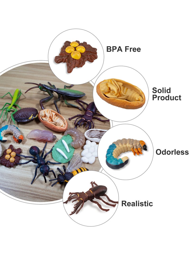 SYOSI - 16 Insect Models Worker Ants, Antlers, Bees, Praying Mantis Growth Cycle Plastic Insect Toy Set, Biological Science Toys, Suitable for Children to Learn - Image 1