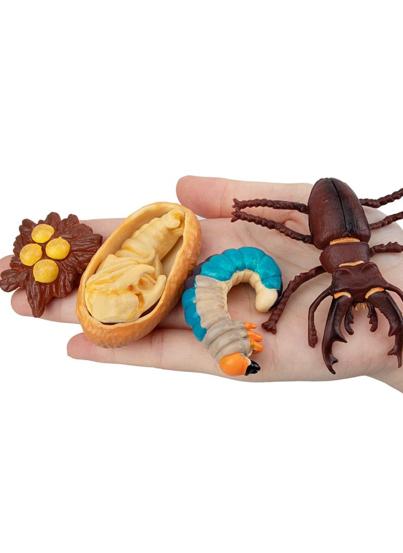 SYOSI - 16 Insect Models Worker Ants, Antlers, Bees, Praying Mantis Growth Cycle Plastic Insect Toy Set, Biological Science Toys, Suitable for Children to Learn - Image 1