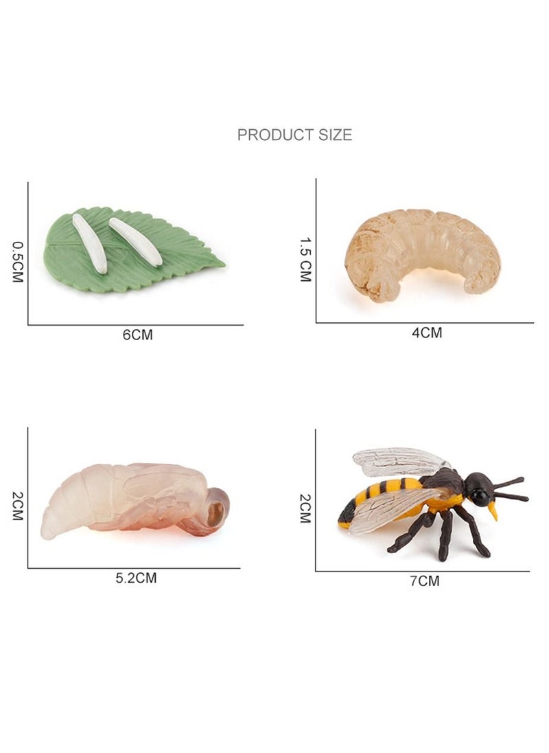 SYOSI - 16 Insect Models Worker Ants, Antlers, Bees, Praying Mantis Growth Cycle Plastic Insect Toy Set, Biological Science Toys, Suitable for Children to Learn - Image 1