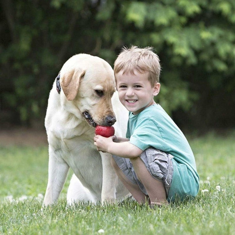 KONG Classic Stuffable Dog Toy - Fetch & Chew Toy for Dogs - Treat-Filling Capabilities & Erratic Bounce for Extended Play Time - Durable Natural Rubber Material - for Extra Large Dogs (Pack of 2) - Image 2