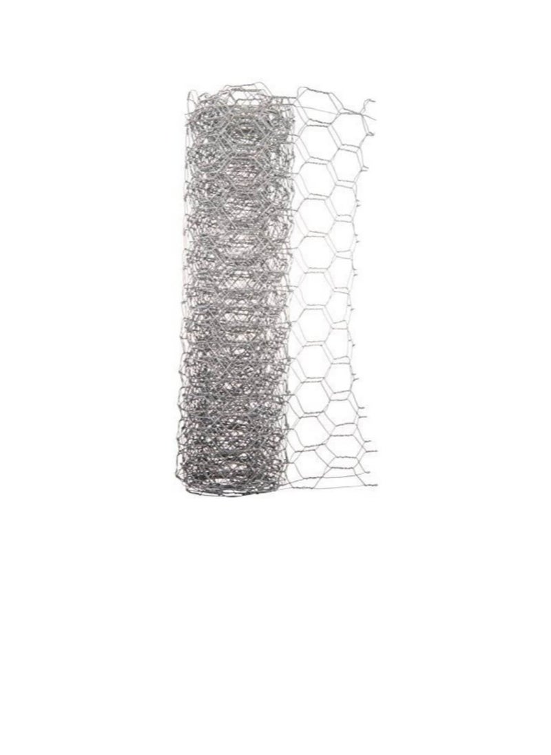Chicken Wire 1in Mesh 2' x 8'