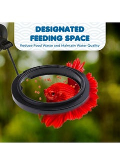SunGrow SunGrow Betta Feeding Ring, Prevent Water Turbulence from Washing Food into Filter, Practical Round Floating Food, Suitable for Guppy, Goldfish and Other Small Fish (1 Pc)  - Image 4
