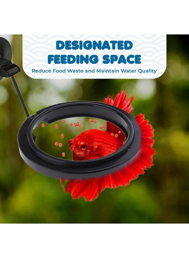 SunGrow Betta Feeding Ring, Prevent Water Turbulence from Washing Food into Filter, Practical Round Floating Food, Suitable for Guppy, Goldfish and Other Small Fish (1 Pc) - Image 4