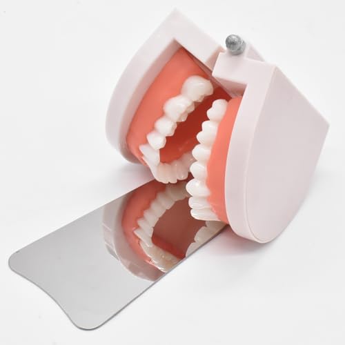Angzhili 1 Piece Dental Anti-Fog Photography Mirrors,2 Sided Fog Free Intraoral Photography Mirror,Stainless Steel Occlusal Mirror (L maxillofacial mirror) - Image 3