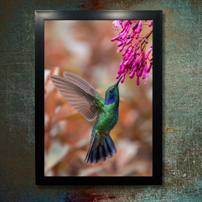 Kagaz Kala Kagaz Kala Digital Reprint Wild Birds photo frame for wall Royal birds posters framed for wall decoration Synthetic wooden frame decorative item Humming Bird 3  - Image 2