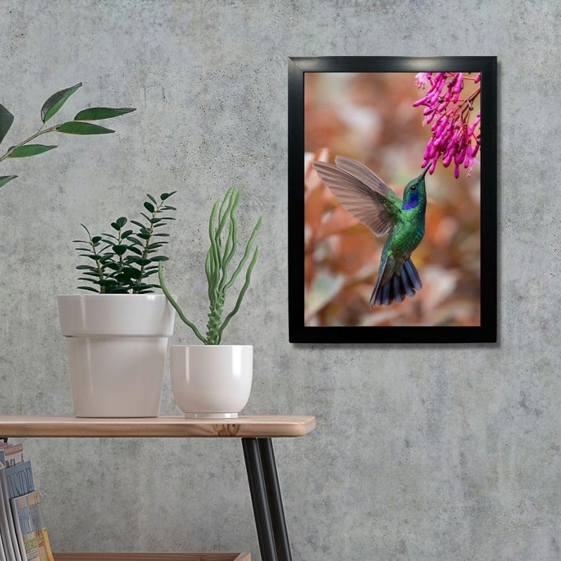 Kagaz Kala Kagaz Kala Digital Reprint Wild Birds photo frame for wall Royal birds posters framed for wall decoration Synthetic wooden frame decorative item Humming Bird 3  - Image 3