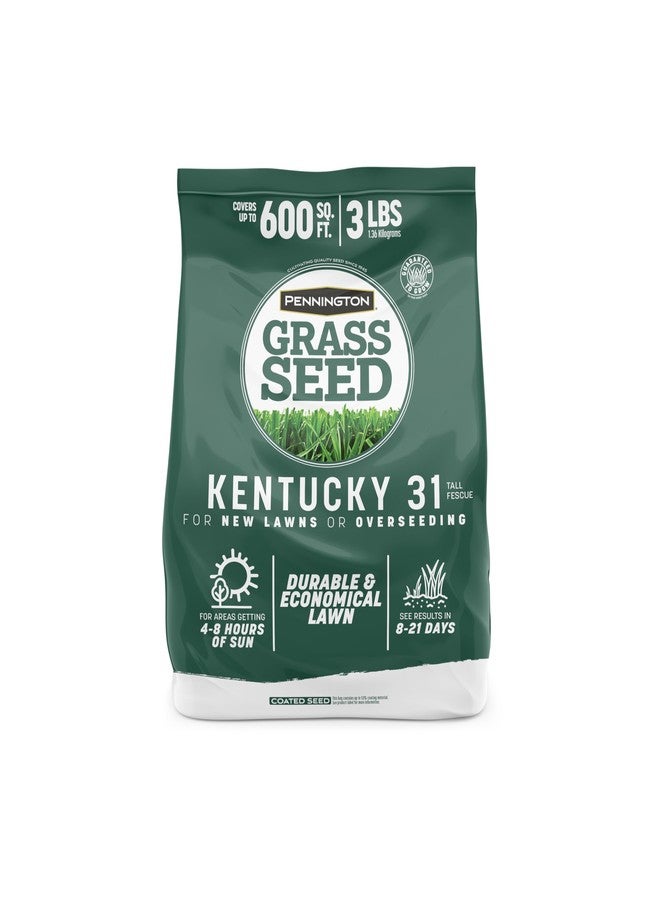 Pennington Kentucky 31 Tall Fescue Penkoted Grass Seed 3 lb - Image 1