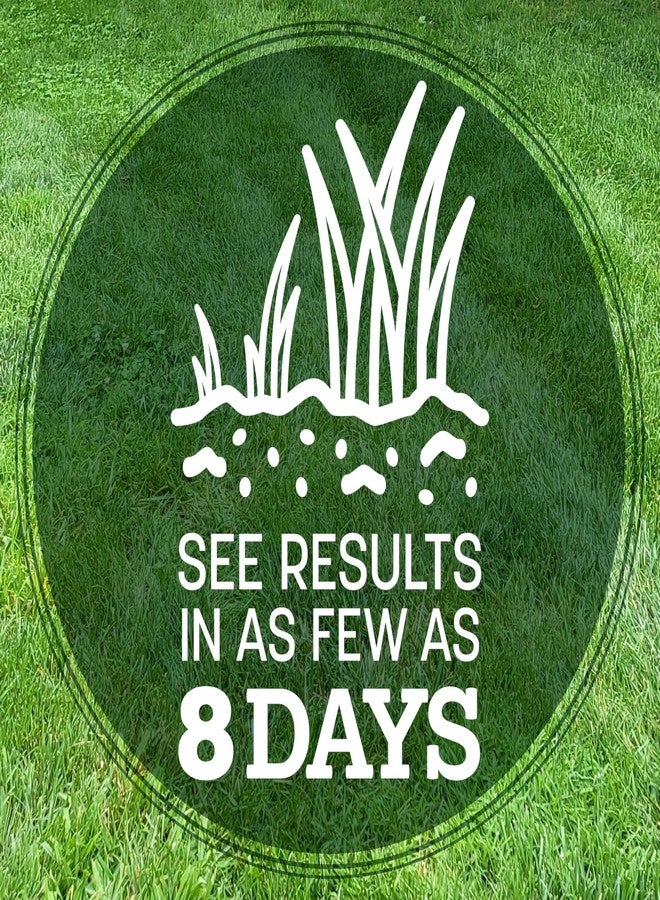 Pennington Kentucky 31 Tall Fescue Penkoted Grass Seed 3 lb - Image 4