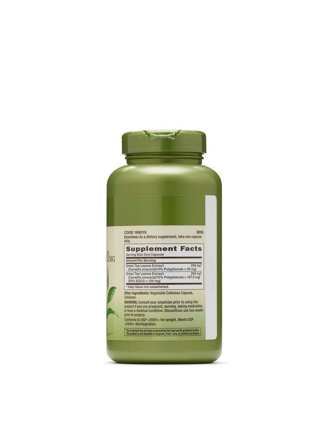 GNC Herbal Plus Green Tea Complex 500mg Supplement, Vegetarian, Supports Metabolism, 200 Servings - Image 2