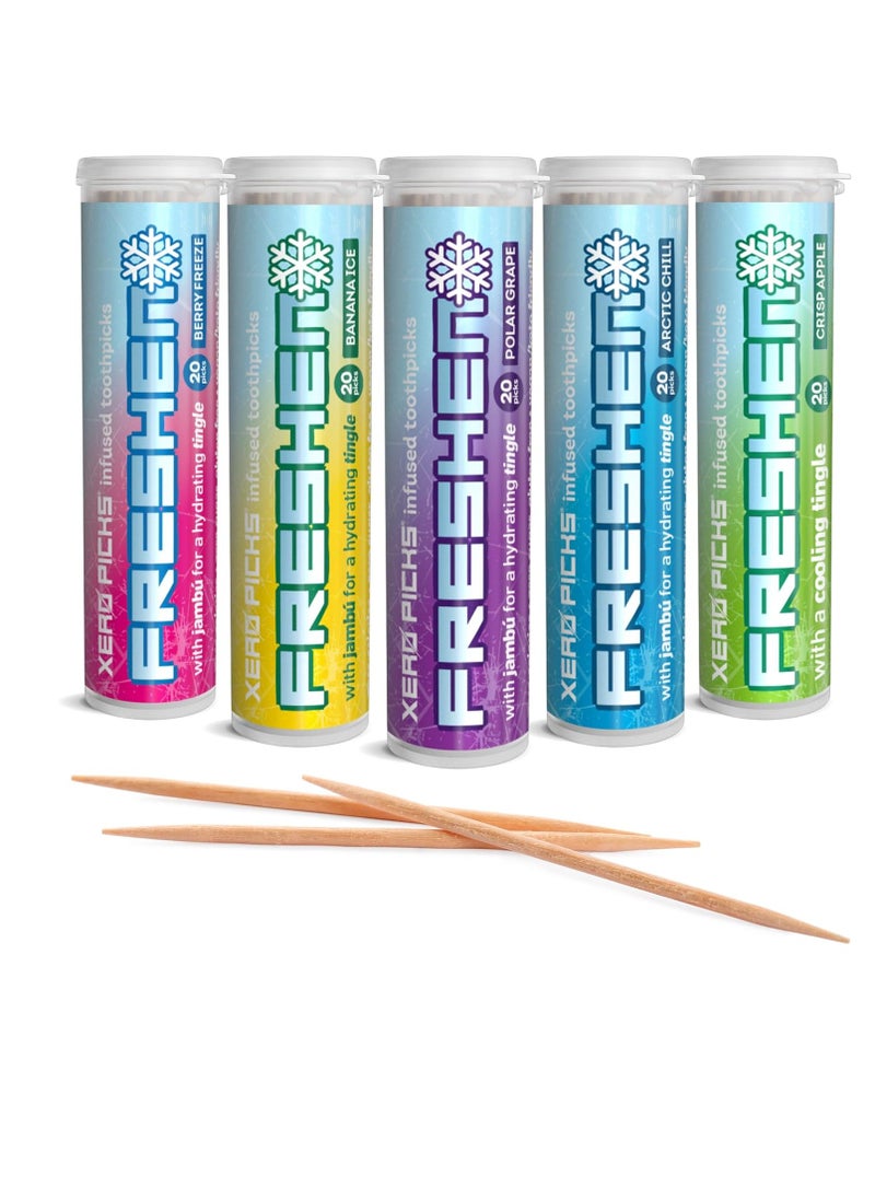 XERO PICKS - Xero Picks Freshen - Infused Flavored Toothpicks - Cooling Fresh Breath - 100 Picks - 5 Pack - Variety- polar grape, arctic chill, banana ice, berry freeze and crisp apple - Image 1