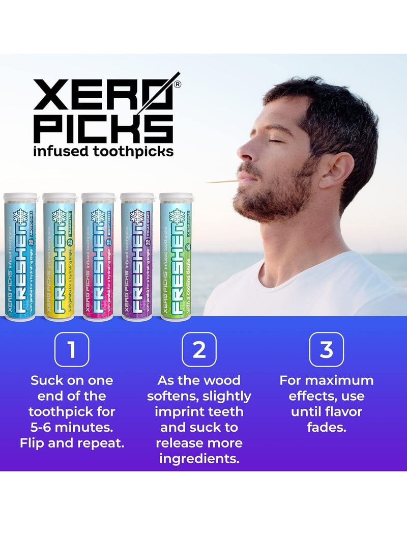 XERO PICKS - Xero Picks Freshen - Infused Flavored Toothpicks - Cooling Fresh Breath - 100 Picks - 5 Pack - Variety- polar grape, arctic chill, banana ice, berry freeze and crisp apple - Image 1