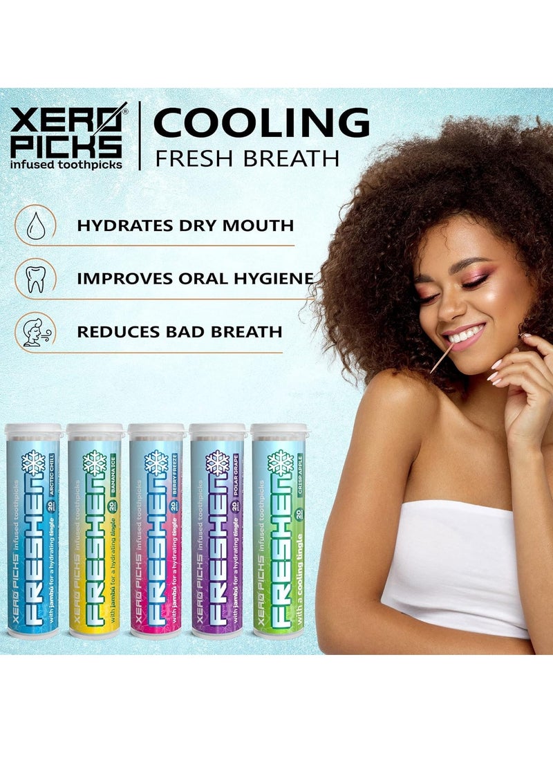XERO PICKS - Xero Picks Freshen - Infused Flavored Toothpicks - Cooling Fresh Breath - 100 Picks - 5 Pack - Variety- polar grape, arctic chill, banana ice, berry freeze and crisp apple - Image 1