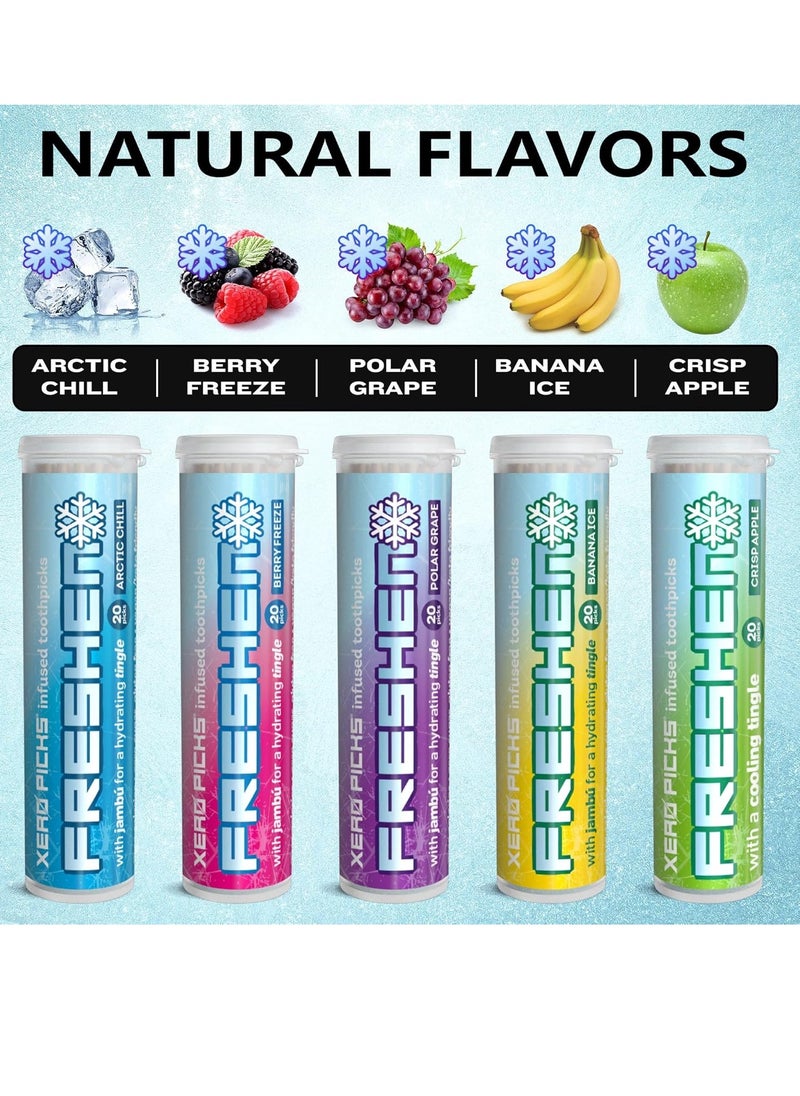 XERO PICKS - Xero Picks Freshen - Infused Flavored Toothpicks - Cooling Fresh Breath - 100 Picks - 5 Pack - Variety- polar grape, arctic chill, banana ice, berry freeze and crisp apple - Image 1