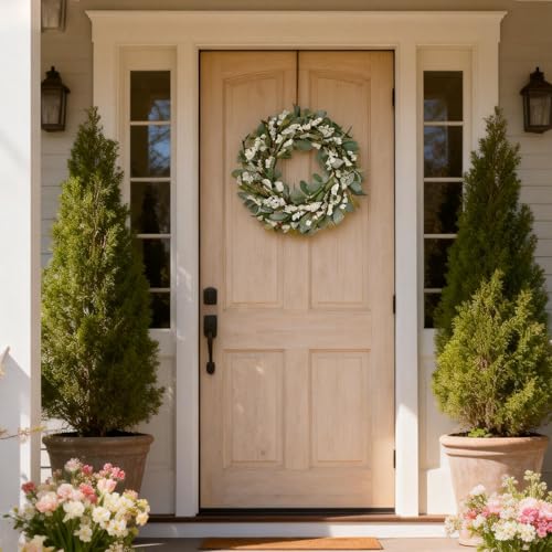 egolot 22 Inch Spring Summer Lamb Ears Leaves Wreath with Ivory Forsythia Flower, Year Round Greenery Floral Wreath for Front Door, All Seasons Rustic Farmhouse Everyday Wreath for Indoor Outdoor Decor - Image 3