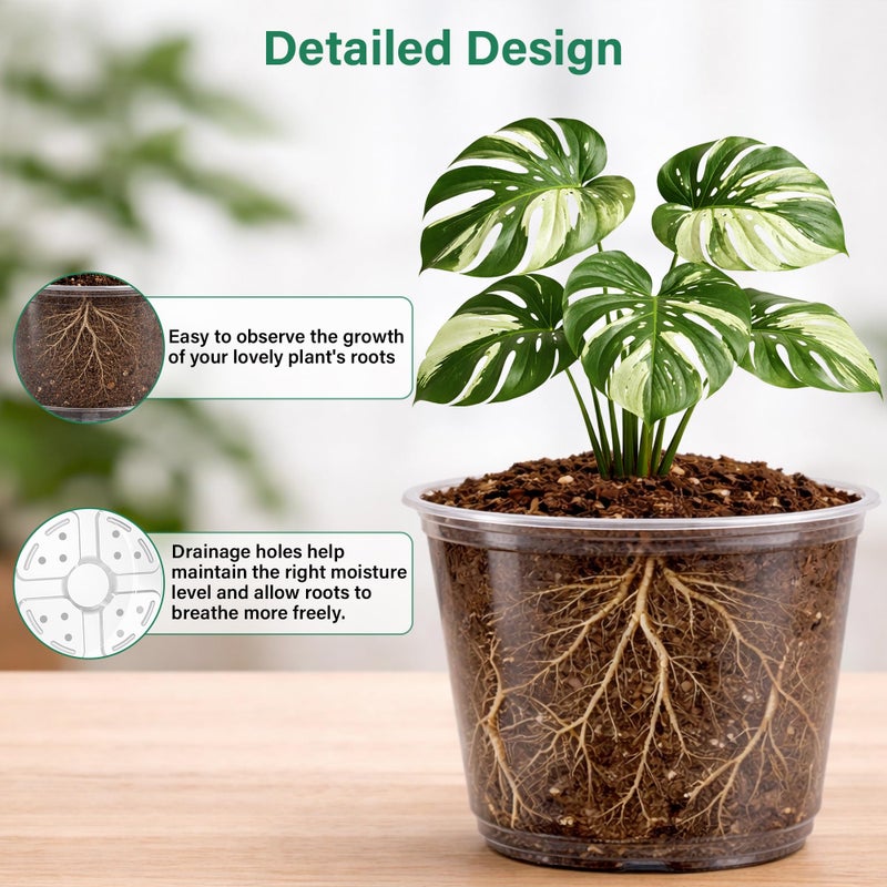 Bluepro 20 Pack 8/6/5/4/3.5 Inch Reinforced Large Clear Nursery Pots with Drainage Hole, Transparent Variety Pack Plastic Plant Pot for Vegetable Propagation, Root Cutting, Seed Starting - Image 3