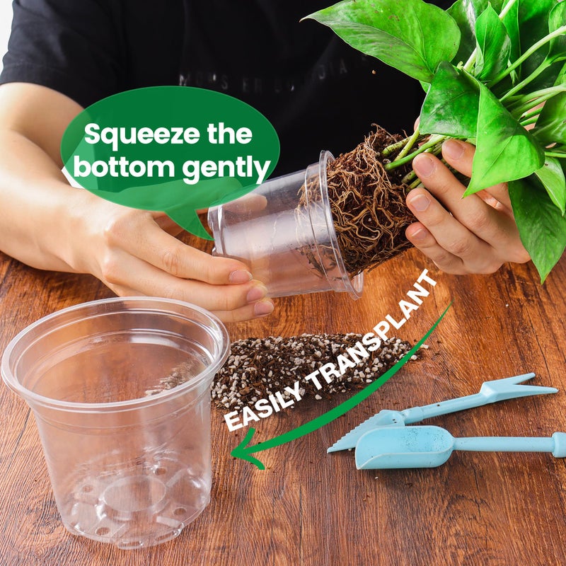 Bluepro 20 Pack 8/6/5/4/3.5 Inch Reinforced Large Clear Nursery Pots with Drainage Hole, Transparent Variety Pack Plastic Plant Pot for Vegetable Propagation, Root Cutting, Seed Starting - Image 5