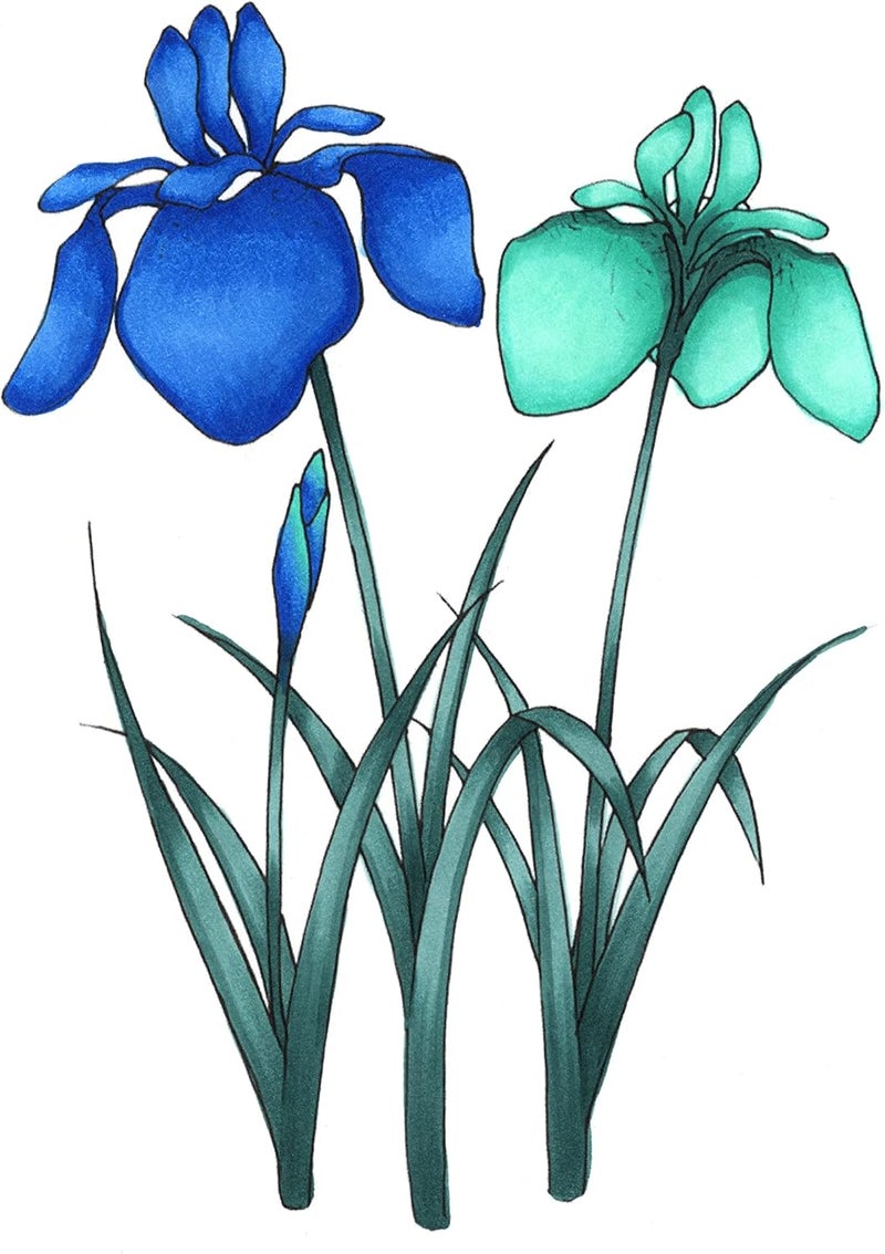 Copic Sketch Marker Set - 6 Colors, Sea & Sky - Image 3