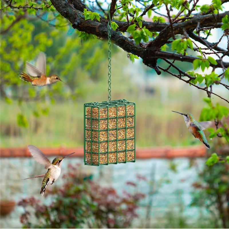 FLINTER Bird Feeder for Outdoors, Suet Feeder Hanging Bird Feeder, Hanging for Garden Yard Outside - Single Suet Cake Feeders fo Attracting Birds, Green - Image 5
