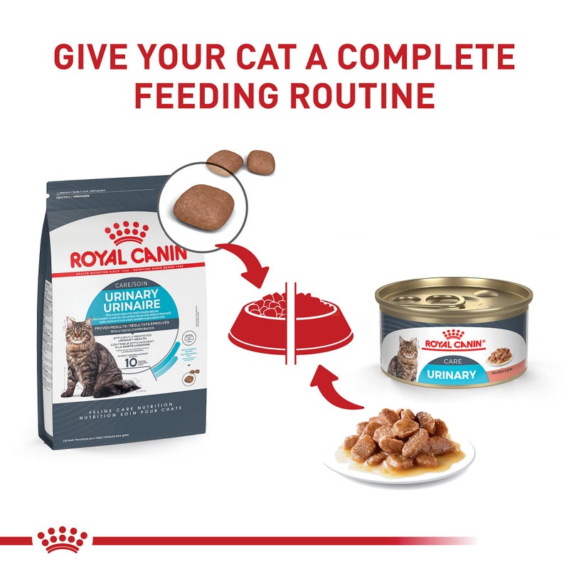 Royal Canin Feline Care Nutrition Urinary Care Adult Dry Cat Food, 3 lb Bag - Image 4