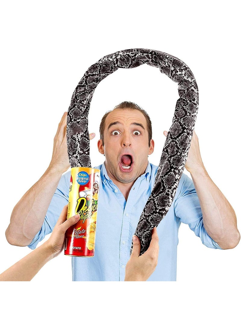 Scary Snake Prank Toy Fun Toys, Azonee The Potato Chip Snake Can Jump Spring Snake Toy Gift, Party Decoration Jokes, Gag Toys, for April Fools’ Day and Halloween Party, 1 Pieces - Image 1
