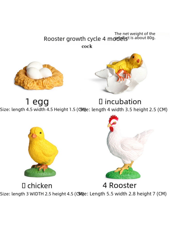 Miniature Realistic Animal Models Growth Cycle Toys Including Butterfly Rooster Ant Frog Turtle Mosquito Educational Playsets-Color: Trumpet White Fox 4 Barreled  - Image 3