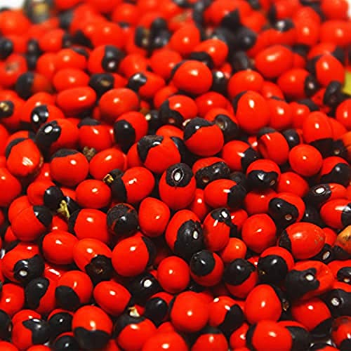 RUKDA® lal chirmi/gunja Beads/chirmi ke Beez/chirmi seads red/gunja/gunjari/gunja beej/gunja ke beej/gunja lal/gunja lal Seeds/chirmi Seeds - 21 pcs - Image 4