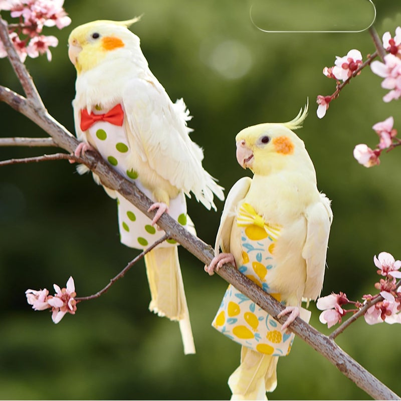 squishy 2 قطعة حفاضات طيور للببغاء، مجموعة حفاضات ببغاء بتصميمات الكرز والليمون، قماش ناعم للطيور الداخلية، تصميم خفيف للسفر ونظافة المنزل - Image 3