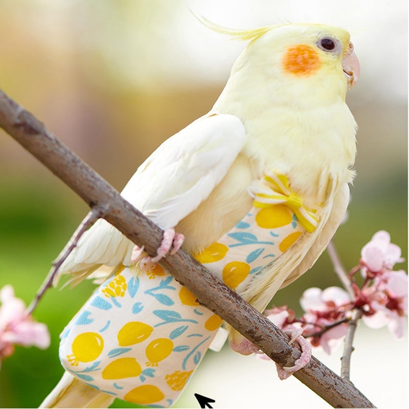 squishy 2 قطعة حفاضات طيور للببغاء، مجموعة حفاضات ببغاء بتصميمات الكرز والليمون، قماش ناعم للطيور الداخلية، تصميم خفيف للسفر ونظافة المنزل - Image 2
