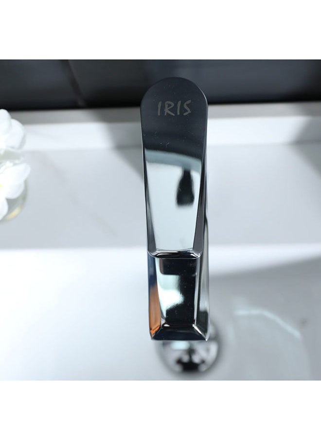 Eco Iris Basin Mixer With Pop Up Waste Rain Shower Single Handle Faucet, Handheld Spray Chrome