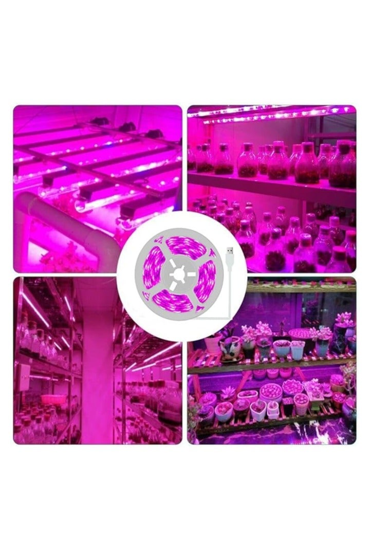 شرائط إضاءة ليد iNextStation 12 فولت، وردية بنفسجية، 5 أمتار SMD 2835 300 ليد، مرنة مقاومة للماء IP65، قابلة للقطع، مناسبة للسقف والأثاث والمطبخ وخزانة الملابس. - Image 2