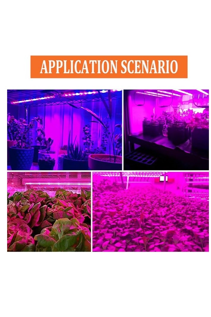 شرائط إضاءة ليد iNextStation 12 فولت، وردية بنفسجية، 5 أمتار SMD 2835 300 ليد، مرنة مقاومة للماء IP65، قابلة للقطع، مناسبة للسقف والأثاث والمطبخ وخزانة الملابس. - Image 3