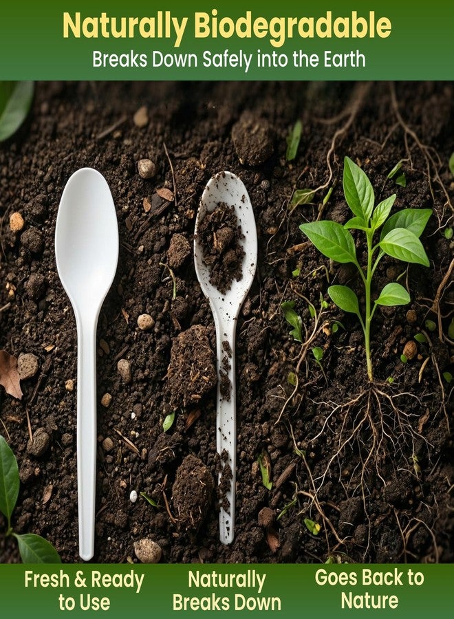 Ecoz Biodegradable Cornstarch Disposable Spoons 6 Inch (160 mm) Pack of 50 | Eco Friendly Compostable Plastic Free Cutlery | Ideal for Party Catering Takeaway Food Service and Events - Image 5