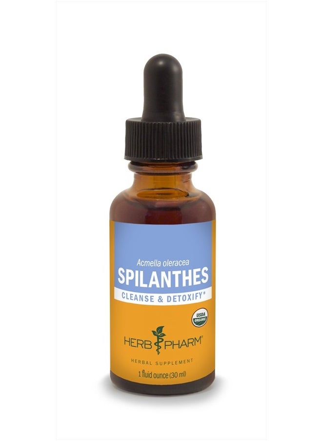 HERB PHARM Certified Organic Spilanthes Liquid Extract for Cleansing and Detoxification - 1 Ounce  - Image 1