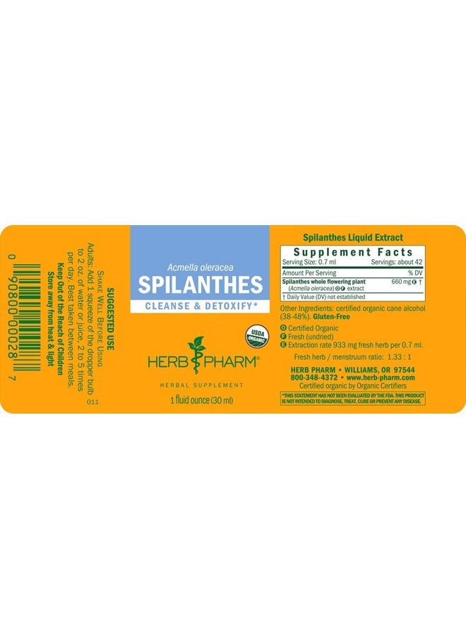 HERB PHARM Certified Organic Spilanthes Liquid Extract for Cleansing and Detoxification - 1 Ounce  - Image 2