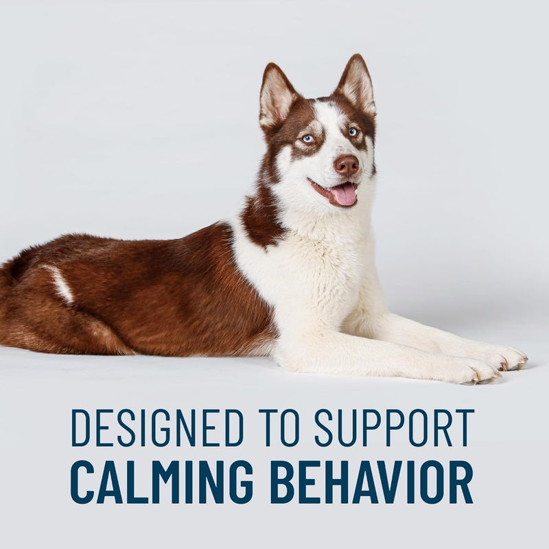 Nutramax Laboratories Nutramax Solliquin Calming Behavioral Health Supplement for Large Dogs - with L-Theanine, Magnolia/Phellodendron, and Whey Protein Concentrate, 75 Soft Chews - Image 2