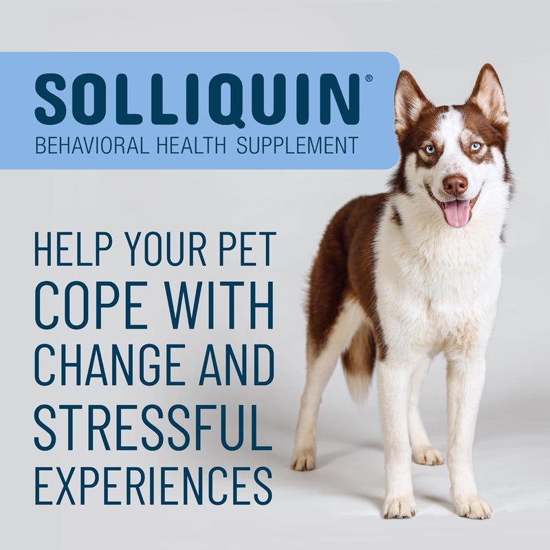 Nutramax Laboratories Nutramax Solliquin Calming Behavioral Health Supplement for Large Dogs - with L-Theanine, Magnolia/Phellodendron, and Whey Protein Concentrate, 75 Soft Chews - Image 3