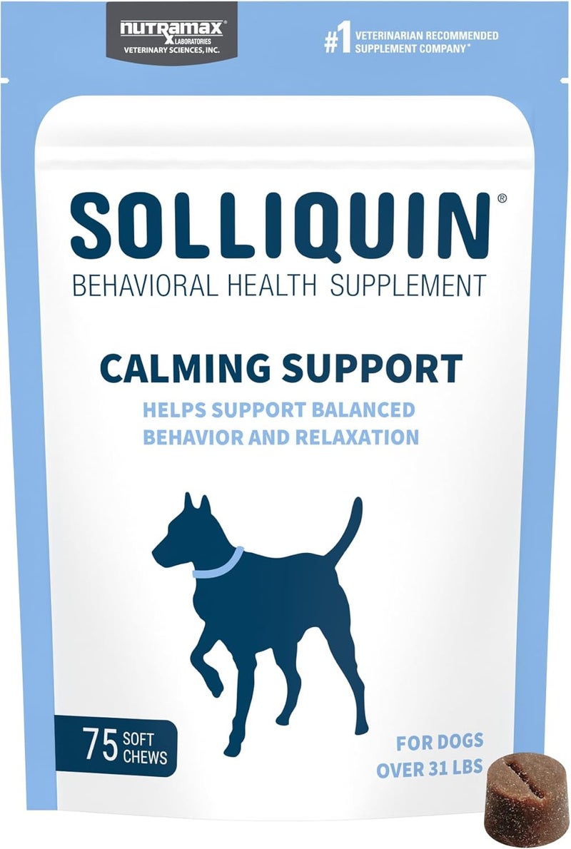 Nutramax Laboratories Nutramax Solliquin Calming Behavioral Health Supplement for Large Dogs - with L-Theanine, Magnolia/Phellodendron, and Whey Protein Concentrate, 75 Soft Chews - Image 1