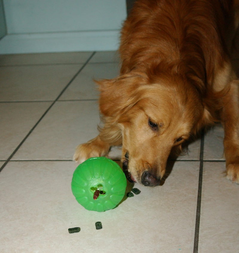 StarMark Treat Dispensing Chew Ball, Large - Image 5