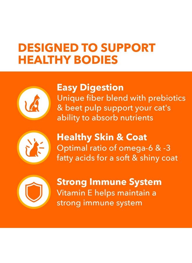 IAMS Proactive Health Adult Sensitive Digestion & Skin Dry Cat Food with Turkey, 6 lb. Bag - Image 3