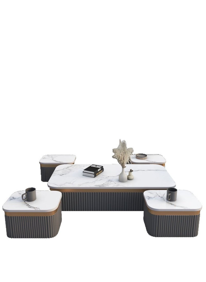 Luxury Coffee Table Set – 5 Pieces, Dark Gray with Gold Accents, Modern Square Design with Rounded Edges, Main Table (122 cm length × 60 cm width × 27 cm height), Side Tables (40 cm length × 30 cm width × 27 cm height). - pzsku/ZC6D16E5EABFDD105F434Z/45/_/1737665680/4e798dca-322f-4bc1-b97f-b3a21c2fa98f