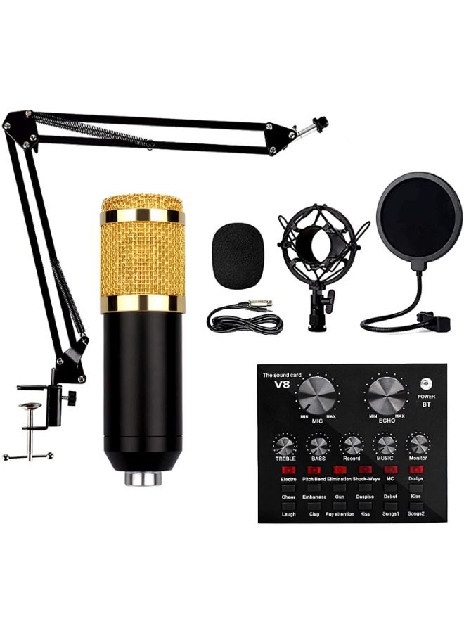 SHOPI Portable condenser microphone set, V8 sound card, studio microphone, podcast recording, for Live Broadcast Live Sound Card Set Voice Changer - Image 1
