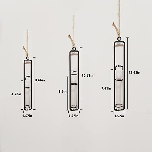 AQRICHFOX 3 Pieces Hanging Glass Hydroponic Planter Transparent Test Tube Plant Vase Terrarium Container for Indoor Outdoor Modern Home Decoration (Black) - Image 3